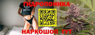 a pvp Новокубанск