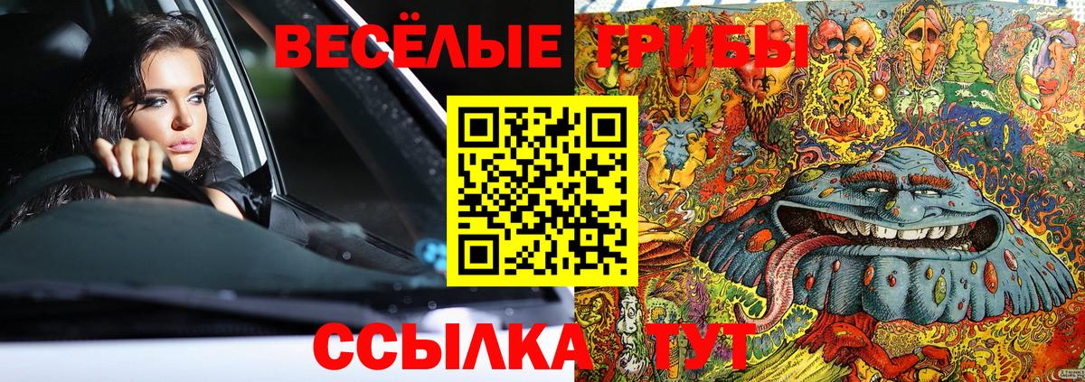 Галлюциногенные грибы Psilocybine cubensis  Вход с VPN  Славянск-на-Кубани  Псилоцибиновые грибы мухоморы 